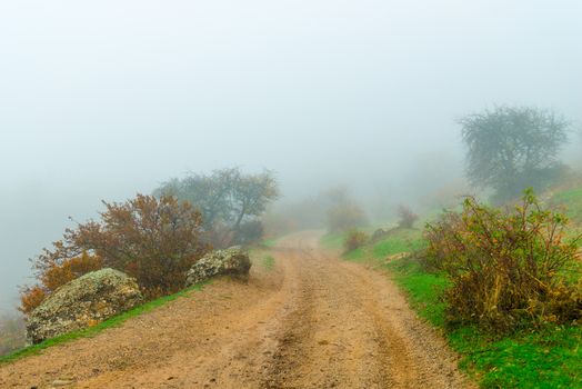 Mountain road, silhouettes of bushes, landscape in dense fog