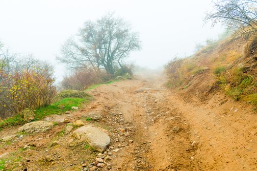 Road to the mountain, autumn landscape of mountains in dense fog