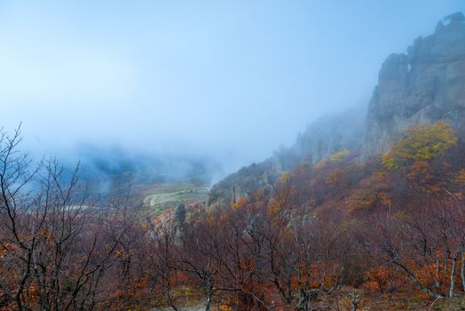 autumn landscape in the fog - beautiful mountains, view of the bare trees and rocks