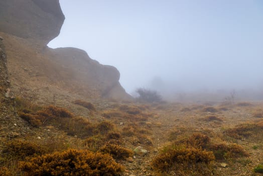 Autumn gloomy landscape on a foggy day in the mountains