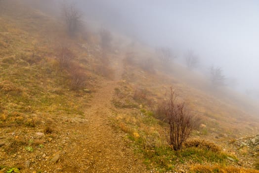 gloomy autumn landscape on a foggy day in the mountains