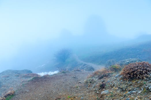 gloomy autumn landscape on a foggy day in the mountains