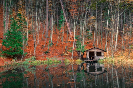 Fisherman's old house near the forest pond on an autumn afternoon