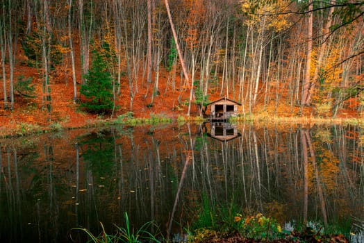 beautiful landscape - an old fisherman's house near the forest pond on an autumn afternoon
