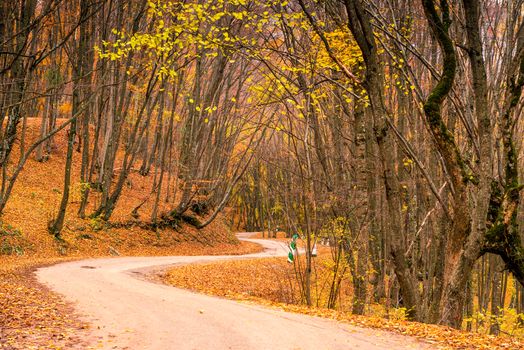 Landscape in autumn in the mountains, view of the winding road