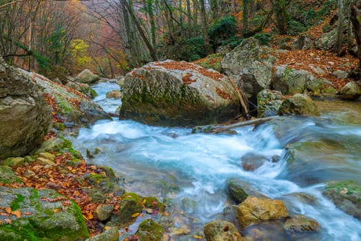 very beautiful nature - stones covered with moss and flowing water in the mountains on an autumn day