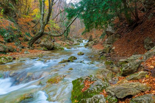 Autumn landscape, river flowing into a gorge in the mountains