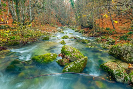 Autumn landscape, fast mountain river and moss covered rocks in the gorge