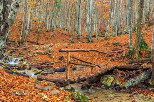 wooden bridge over the river in the gorge in the autumn, beautiful mountain landscape