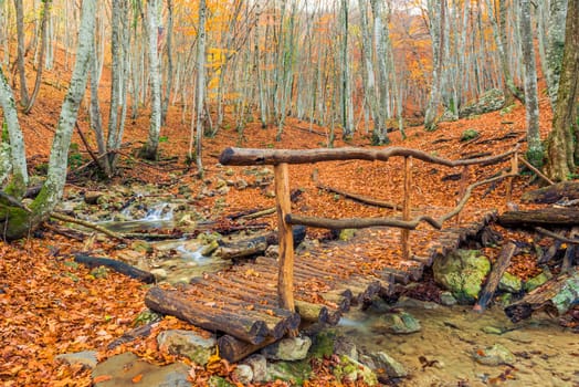 Old log bridge in a canyon in the mountains, autumn landscape