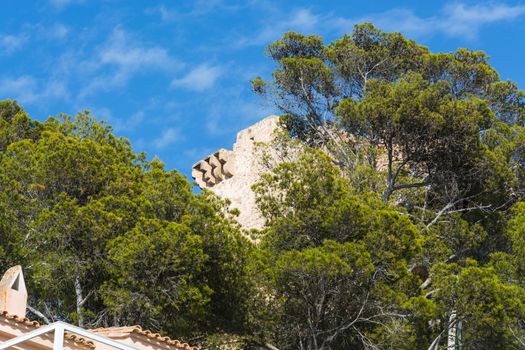 Beautiful mediteran impressions, palm trees, house wall and sky.