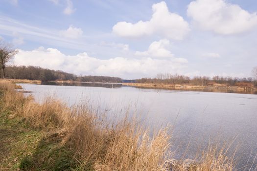 Riverside landscape, Wild, Untouched Nature. Sunny early Spring Day. Odra River in Kozanow, Wroclaw city , Poland. 