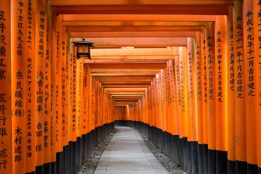 vermillion Torii path at Fushimi Inari Taisha Shrine in Kyoto, Japan