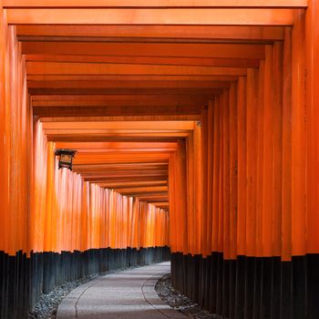 vermillion Torii path at Fushimi Inari Taisha Shrine in Kyoto, Japan