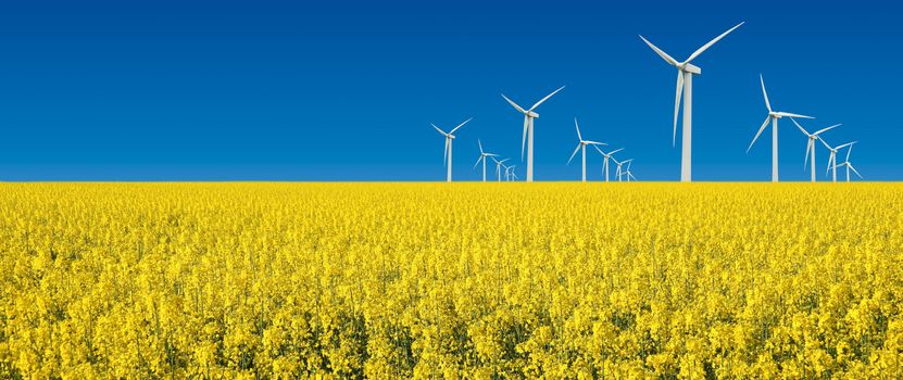 wind turbine in yellow field
