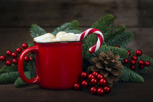 Cocoa in red mug with marshmallows and candy cane and Christmas fir tree on dark wooden background