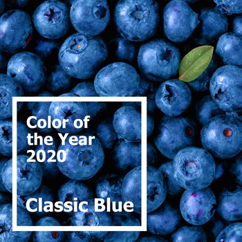 Beautiful blueberries background in color of the year 2020 Classic Blue. Blueberries with green leaf. Top view or flat lay. Copy space for text. Color of Year 2020 Classic Blue.