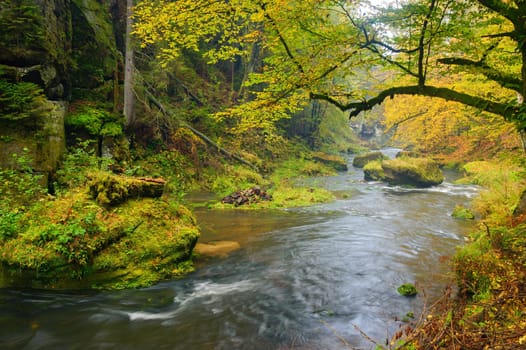 A beautifully clean river flowing through a colorful autumn forest