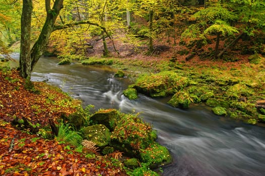 A beautifully clean river flowing through a colorful autumn forest