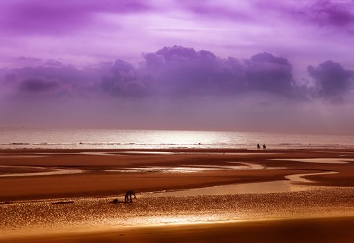 Horseback riding on the beach at sunset