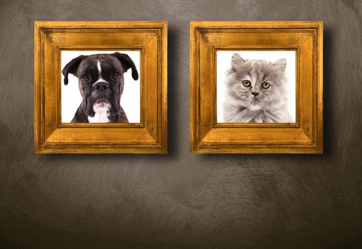 dog and cat in frame on dark background