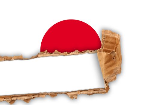 Ripped flag of japanese state
