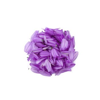 Dried aromatic Essences on white background