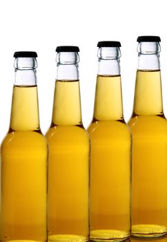 bottles of beer on white background