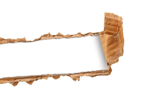 torn cardboard on white background