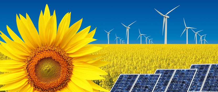concept of alternative sustanaible energy
