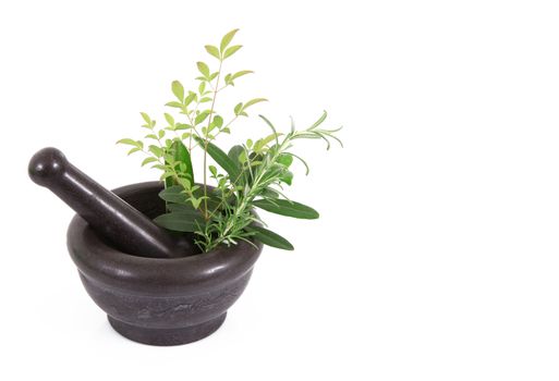 Mortar for Kitchen on white background