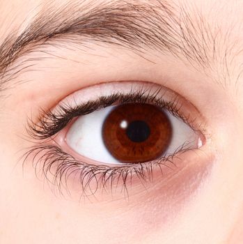 a Human brown eye background