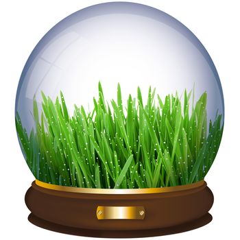 crystall ball with grass on white background