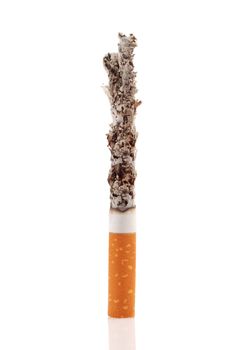 isolated cigarette on white background