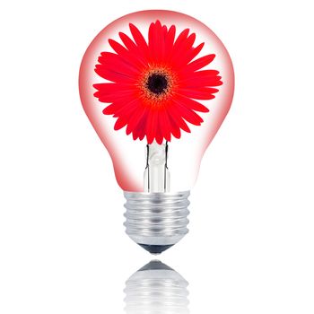 flower light bulb on hand on white background
