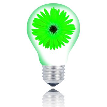flower light bulb on hand on white background