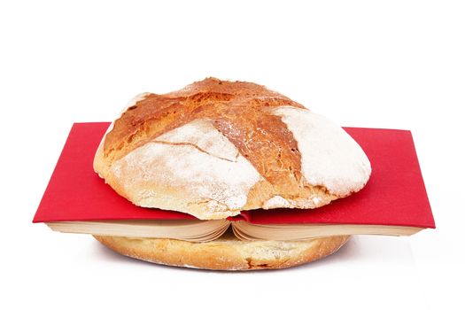 sandwich with book on white background