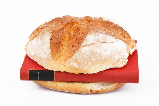 sandwich with book on white background