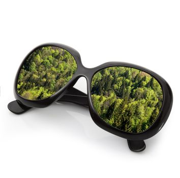 isolated forest sunglasses on white background