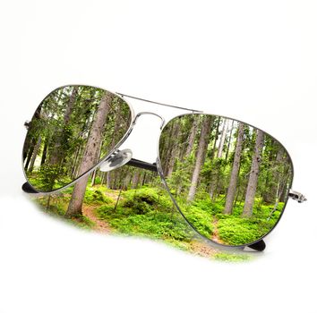 isolated forest sunglasses on white background