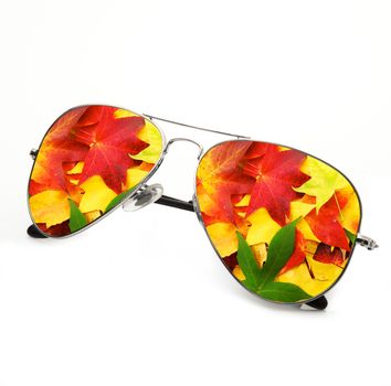 isolated autumn sunglasses on white background