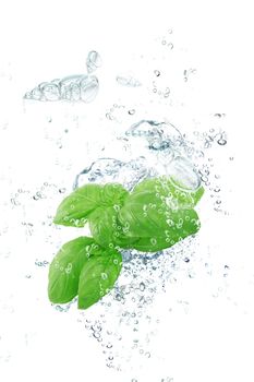 Fresh basil falling in pure water