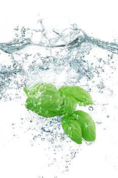 Fresh basil falling in pure water
