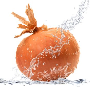 fresh onion falling in pure water