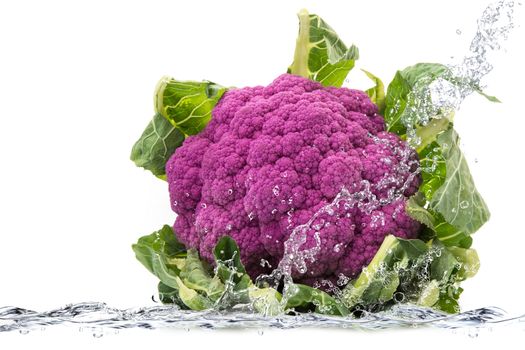 Fresh red cabbage falling in pure water