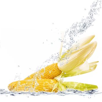 fresh mais falling in pure water