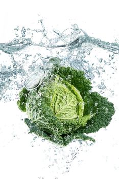 Fresh savoy cabbage falling in water