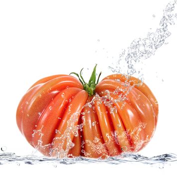 fresh tomato falling in pure water