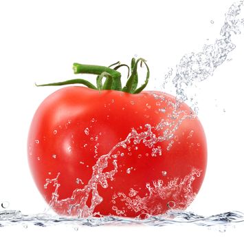 fresh tomato falling in pure water
