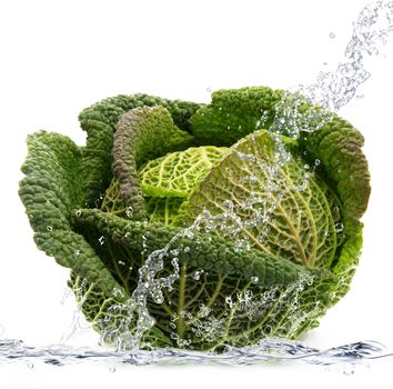 Fresh savoy cabbage falling in water